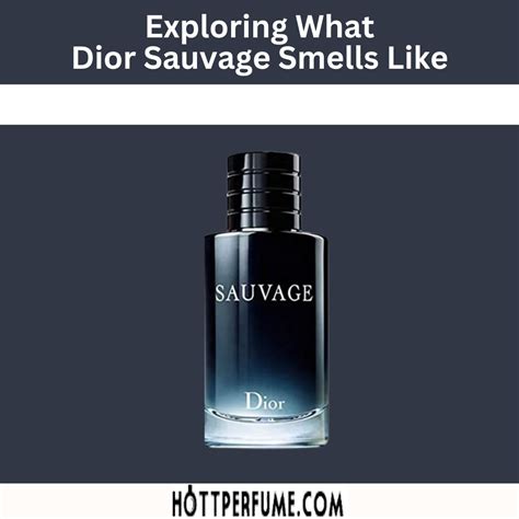 is dior sauvage reformulated|dior sauvage smells like.